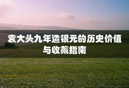 袁大头九年造银元的历史价值与收藏指南