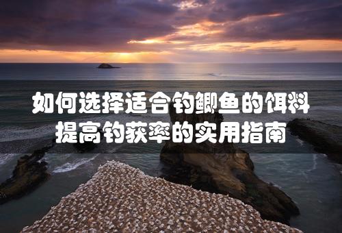 如何选择适合钓鲫鱼的饵料 提高钓获率的实用指南