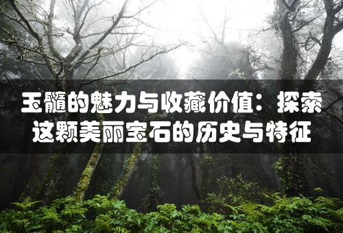 玉髓的魅力与收藏价值：探索这颗美丽宝石的历史与特征