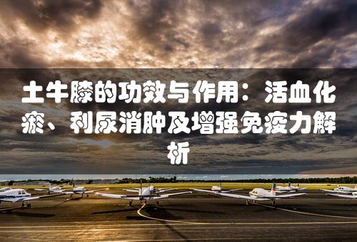 土牛膝的功效与作用：活血化瘀、利尿消肿及增强免疫力解析