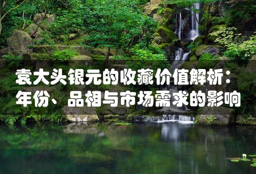 袁大头银元的收藏价值解析：年份、品相与市场需求的影响