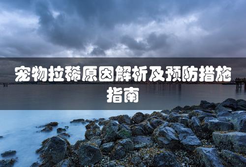 宠物拉稀原因解析及预防措施指南