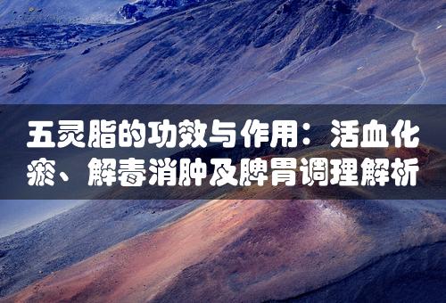 五灵脂的功效与作用：活血化瘀、解毒消肿及脾胃调理解析