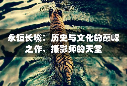 永恒长城：历史与文化的巅峰之作，摄影师的天堂