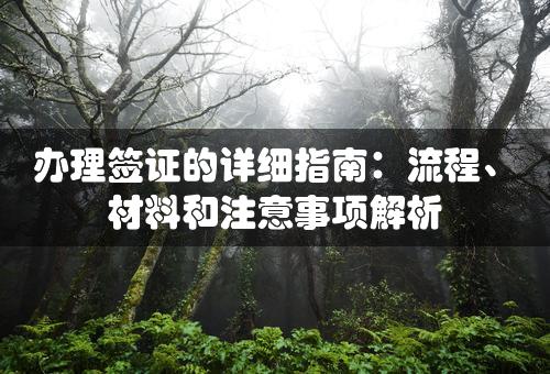 办理签证的详细指南：流程、材料和注意事项解析