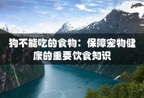 狗不能吃的食物：保障宠物健康的重要饮食知识