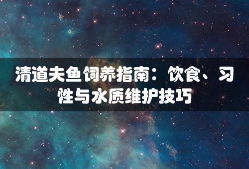 清道夫鱼饲养指南：饮食、习性与水质维护技巧