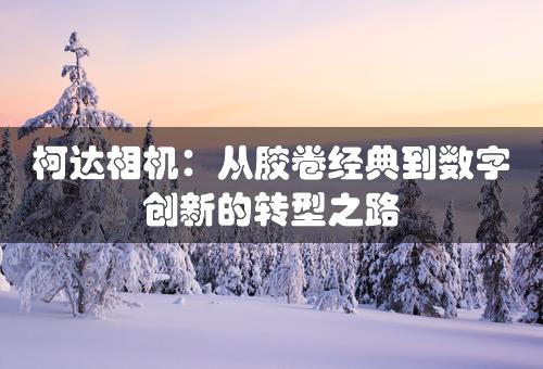 柯达相机：从胶卷经典到数字创新的转型之路