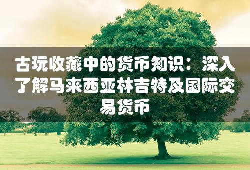 古玩收藏中的货币知识：深入了解马来西亚林吉特及国际交易货币