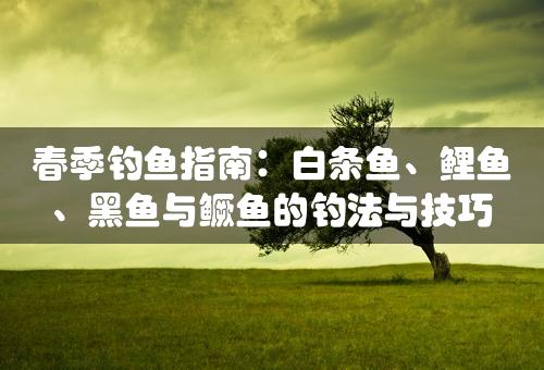 春季钓鱼指南：白条鱼、鲤鱼、黑鱼与鳜鱼的钓法与技巧