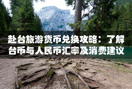 赴台旅游货币兑换攻略：了解台币与人民币汇率及消费建议