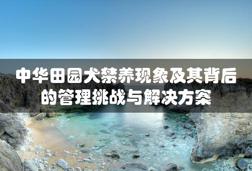 中华田园犬禁养现象及其背后的管理挑战与解决方案