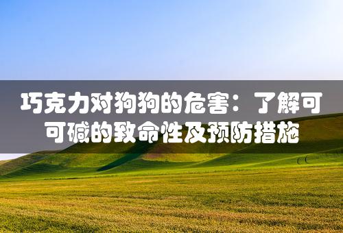 巧克力对狗狗的危害：了解可可碱的致命性及预防措施