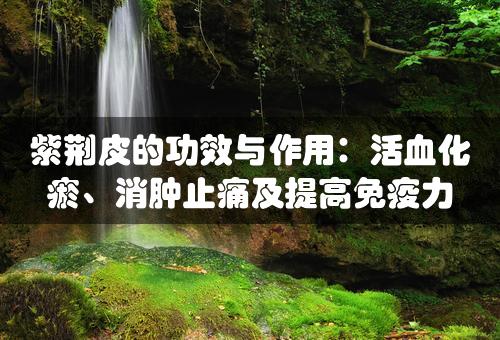 紫荆皮的功效与作用：活血化瘀、消肿止痛及提高免疫力