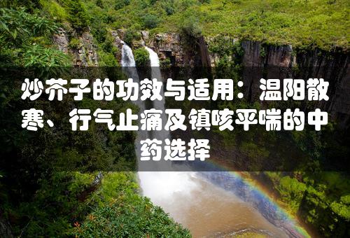 炒芥子的功效与适用：温阳散寒、行气止痛及镇咳平喘的中药选择