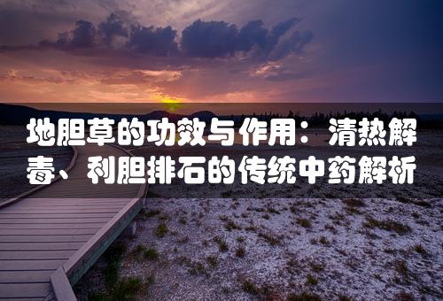 地胆草的功效与作用：清热解毒、利胆排石的传统中药解析