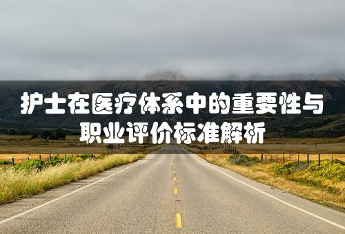 护士在医疗体系中的重要性与职业评价标准解析