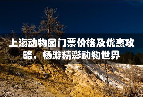 上海动物园门票价格及优惠攻略，畅游精彩动物世界