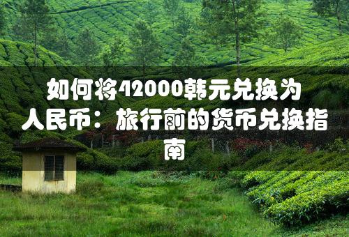 如何将42000韩元兑换为人民币：旅行前的货币兑换指南