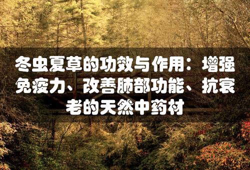 冬虫夏草的功效与作用：增强免疫力、改善肺部功能、抗衰老的天然中药材