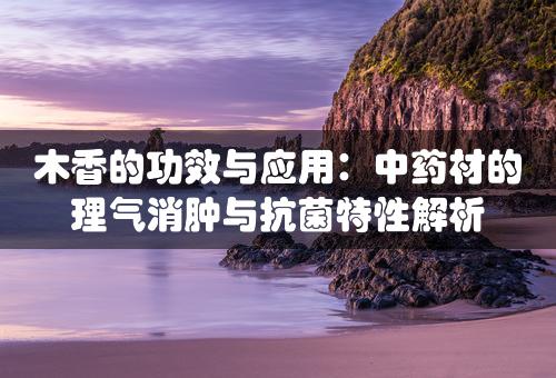 木香的功效与应用：中药材的理气消肿与抗菌特性解析