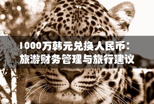 1000万韩元兑换人民币：旅游财务管理与旅行建议