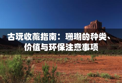 古玩收藏指南：珊瑚的种类、价值与环保注意事项