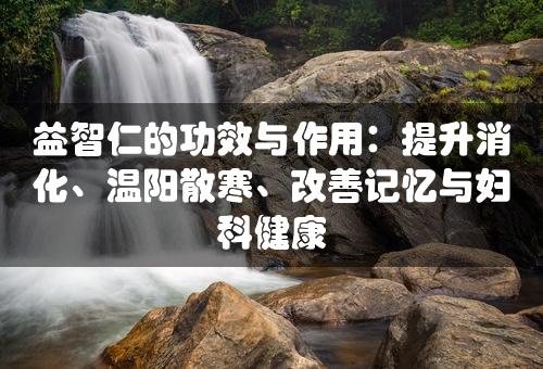 益智仁的功效与作用：提升消化、温阳散寒、改善记忆与妇科健康