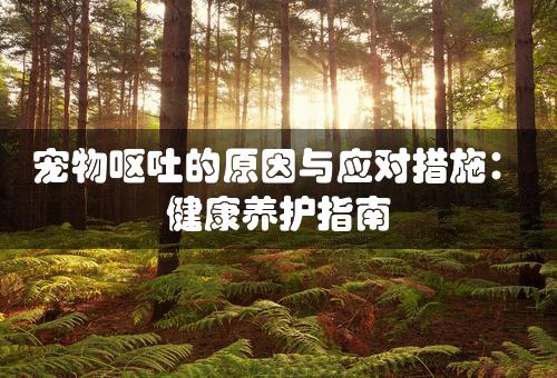 宠物呕吐的原因与应对措施：健康养护指南