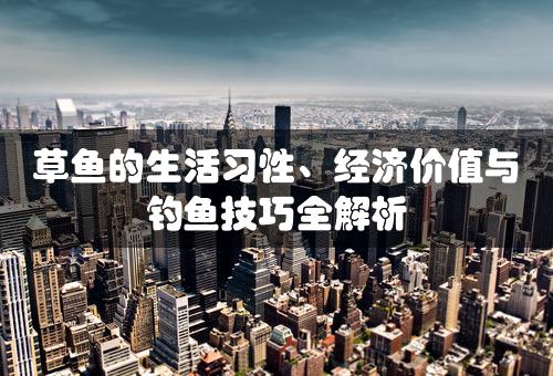 草鱼的生活习性、经济价值与钓鱼技巧全解析