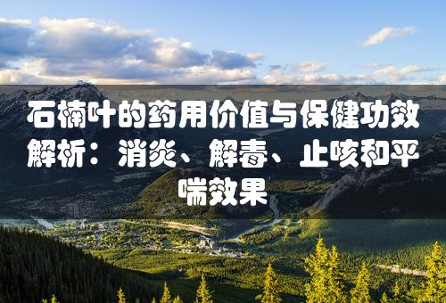 石楠叶的药用价值与保健功效解析：消炎、解毒、止咳和平喘效果