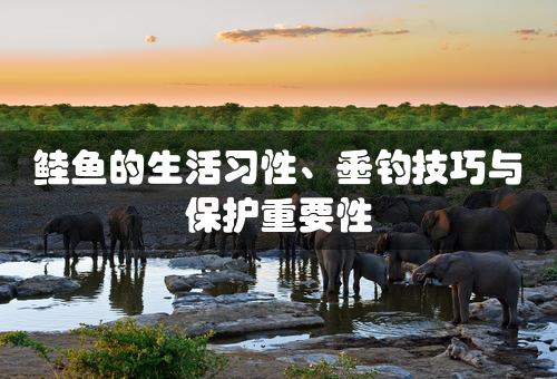 鲑鱼的生活习性、垂钓技巧与保护重要性