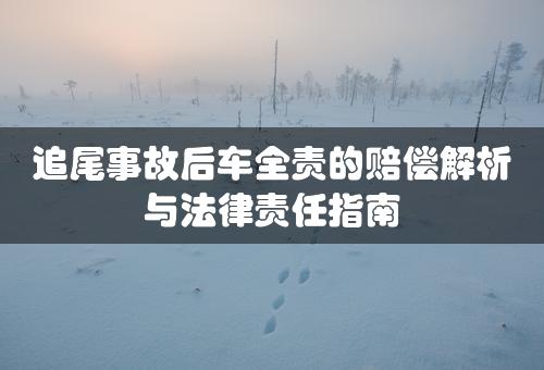 追尾事故后车全责的赔偿解析与法律责任指南