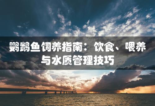 鹦鹉鱼饲养指南：饮食、喂养与水质管理技巧