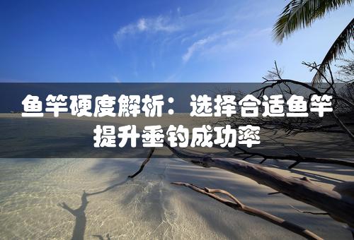 鱼竿硬度解析：选择合适鱼竿提升垂钓成功率