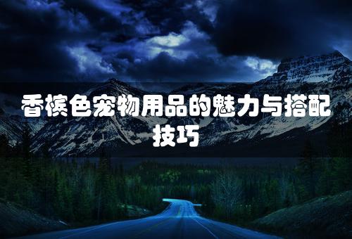 香槟色宠物用品的魅力与搭配技巧