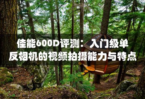 佳能600D评测：入门级单反相机的视频拍摄能力与特点