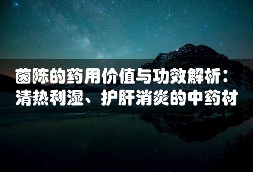 茵陈的药用价值与功效解析：清热利湿、护肝消炎的中药材