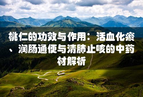 桃仁的功效与作用：活血化瘀、润肠通便与清肺止咳的中药材解析