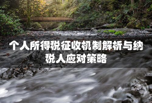 个人所得税征收机制解析与纳税人应对策略