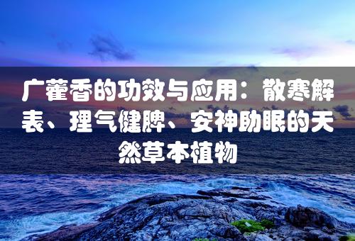 广藿香的功效与应用：散寒解表、理气健脾、安神助眠的天然草本植物