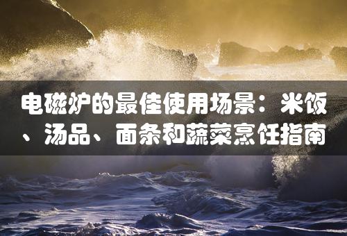 电磁炉的最佳使用场景：米饭、汤品、面条和蔬菜烹饪指南