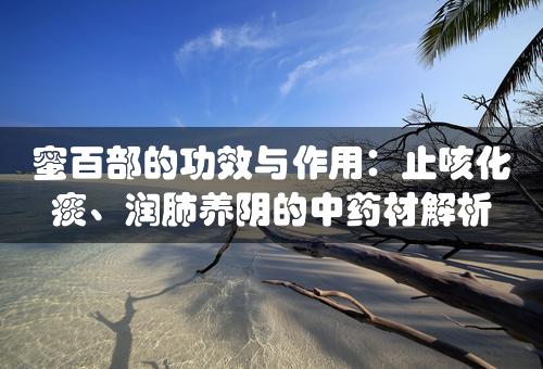 蜜百部的功效与作用：止咳化痰、润肺养阴的中药材解析