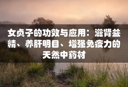 女贞子的功效与应用：滋肾益精、养肝明目、增强免疫力的天然中药材