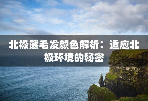 北极熊毛发颜色解析：适应北极环境的秘密