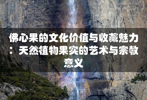 佛心果的文化价值与收藏魅力：天然植物果实的艺术与宗教意义