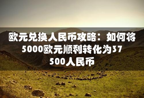 欧元兑换人民币攻略：如何将5000欧元顺利转化为37500人民币