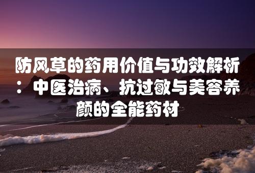 防风草的药用价值与功效解析：中医治病、抗过敏与美容养颜的全能药材