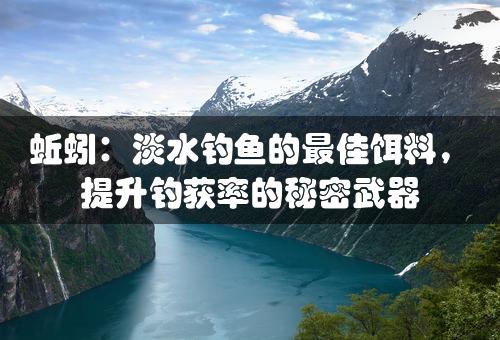 蚯蚓：淡水钓鱼的最佳饵料，提升钓获率的秘密武器