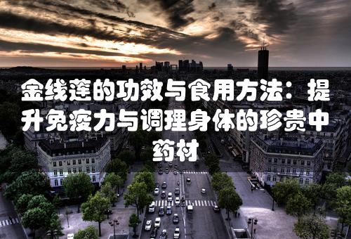 金线莲的功效与食用方法：提升免疫力与调理身体的珍贵中药材